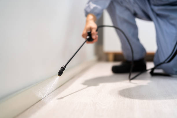 Bed Bug Pre-Treatment Preparation Assessment in Strodes Mills
