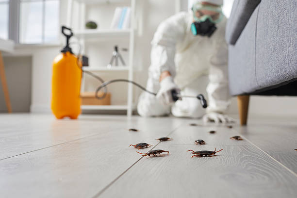 Post-Treatment Bed Bug Interceptor Monitoring in Strodes Mills
