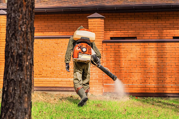 Bed Bug Clearance Verification and Documentation in Strodes Mills